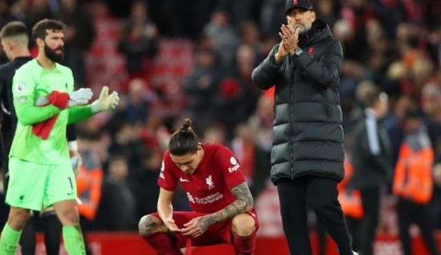 1667128165456071147.jpg 1.jpg